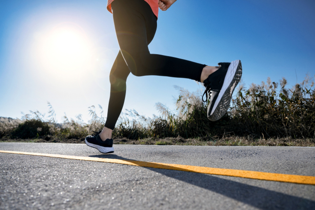 클립아트코리아