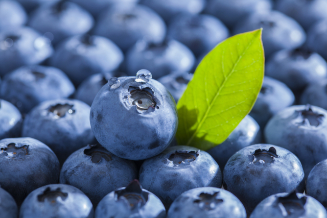 클립아트코리아