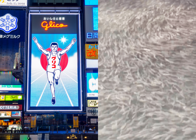 사진=클립아트코리아,SNS 갈무리