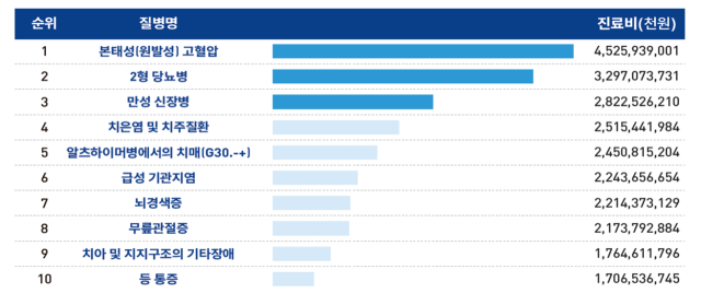 단일상병 기준 진료비 지출 현황.사진 제공=질병관리청