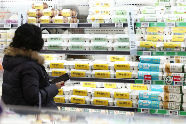 서울 한 대형마트 계란 판매대 모습.연합뉴스.