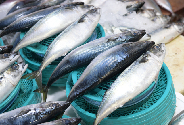 사진은 기사 내용과 무관함.클립아트코리아