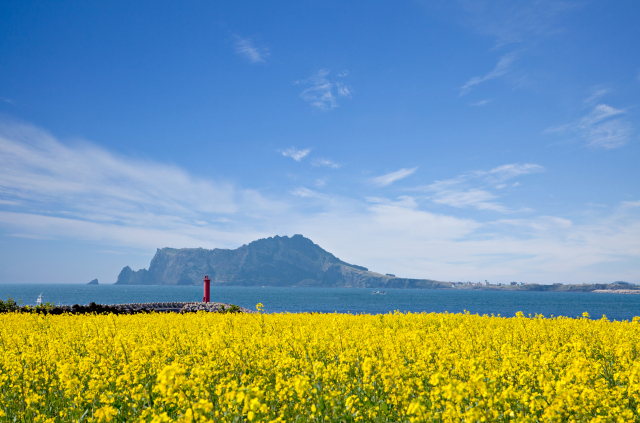 기사 이해를 돕기 위한 사진.클립아트코리아