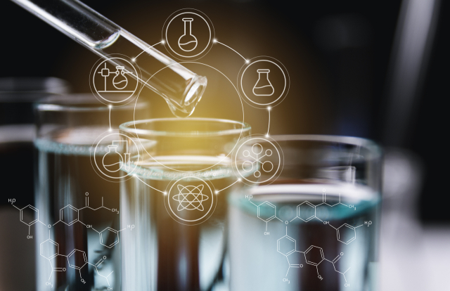 클립아트코리아