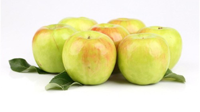 사진 제공=농촌진흥청