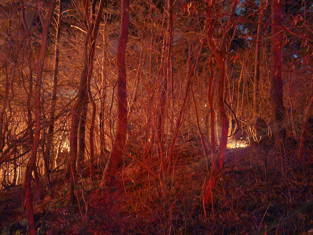 21일 오후 부산 기장군 기장읍 한 공장에서 시작된 화재가 인근 산으로 옮겨붙어 확산하고 있다.사진 제공=부산소방본부