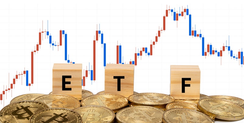 ETF 비중 4년새 3배 ↑…국장 유턴·분산투자 뉴노멀 만들었다