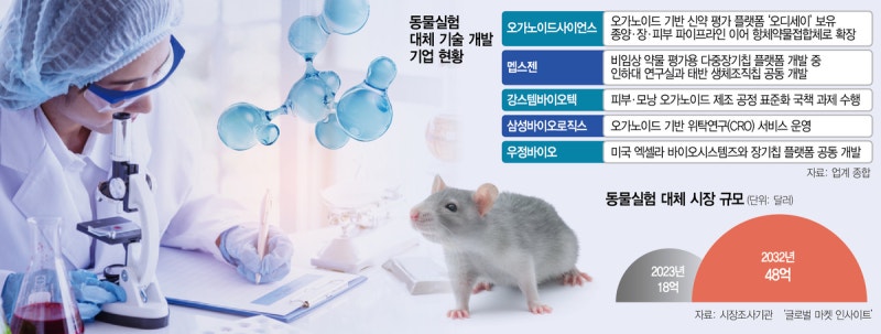 “쥐 대신 오가노이드”…멥스젠·강스템, 7조 대체시장 정조준