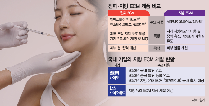 ‘지방 ECM’ 폐기물서 캐시카우로…K바이오, 피부미용 판 키운다