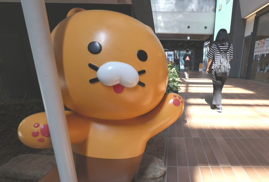 뉴스 이미지