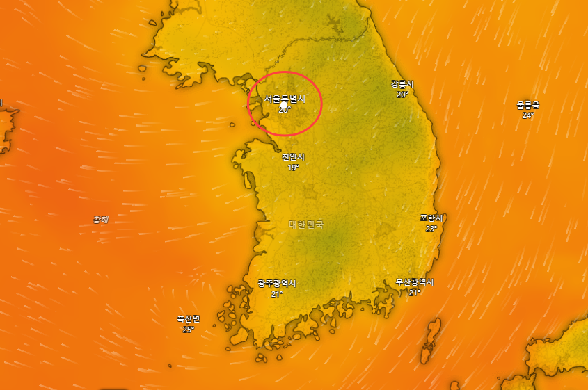 글로벌 기상 시각화 앱 윈디 캡처