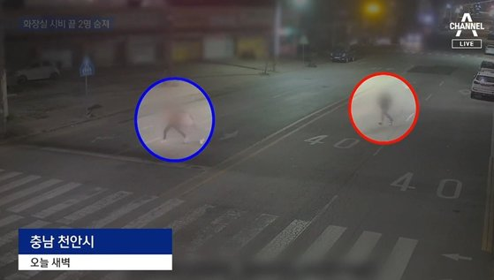 충남 천안시 서북구 한 도로에서 50대 남성이 부부 모임 중이던 남녀 4명에게 흉기를 휘둘렀다.채널A 캡처
