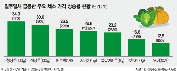 농부심 이미지