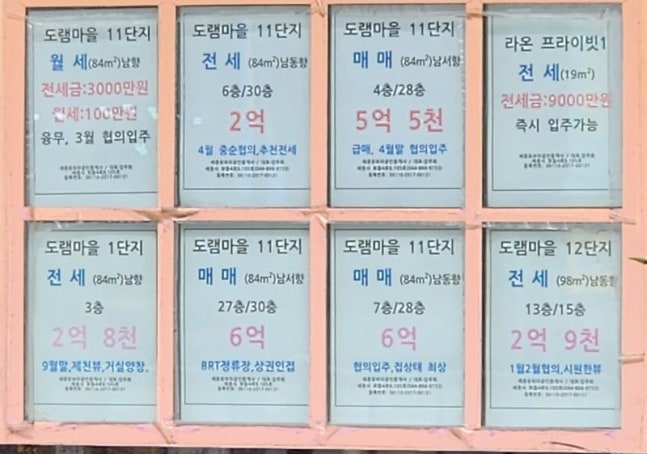 '하락폭 1위' 세종이 올랐다… 현장 가보니