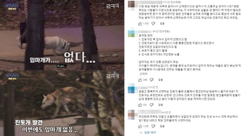 "<b>이경규</b>에 몰카 당했다..법적 조처"..<b>진돗개</b> 견주들 불법 저지른 듯 묘사 논란
