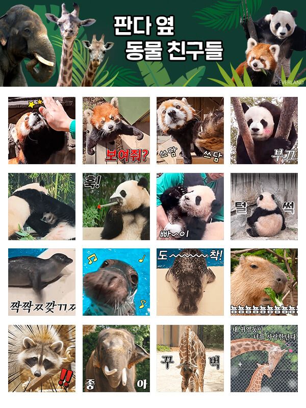 Kakao emoticons called 'Animal Friends Next to Pandas' released by Everland on the 30th. Provided by Everland