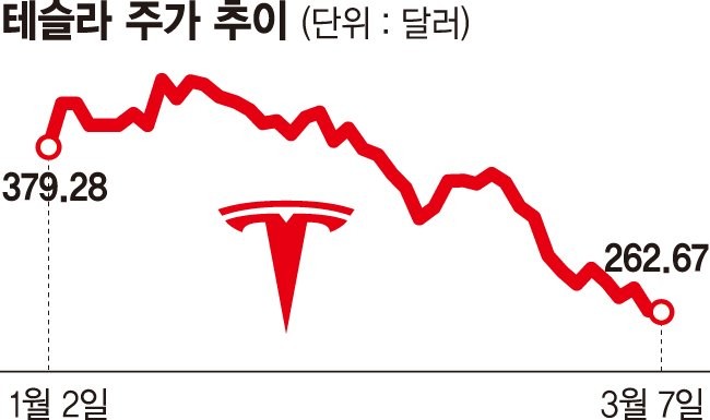 <b>테슬라</b> 주가 '반토막'… 서학개미 '눈물의 물타기'
