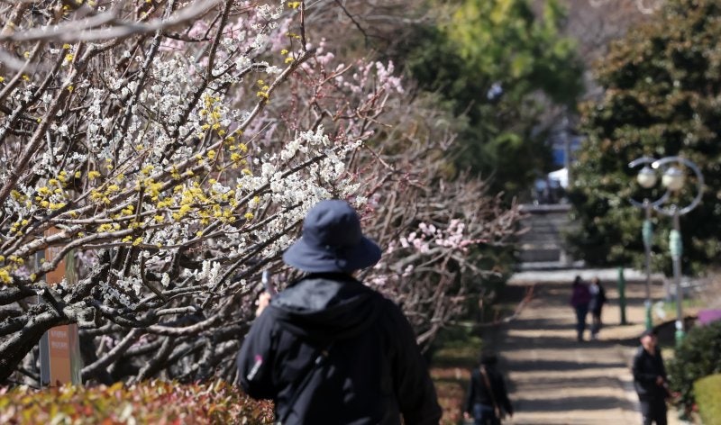 Korean news article image