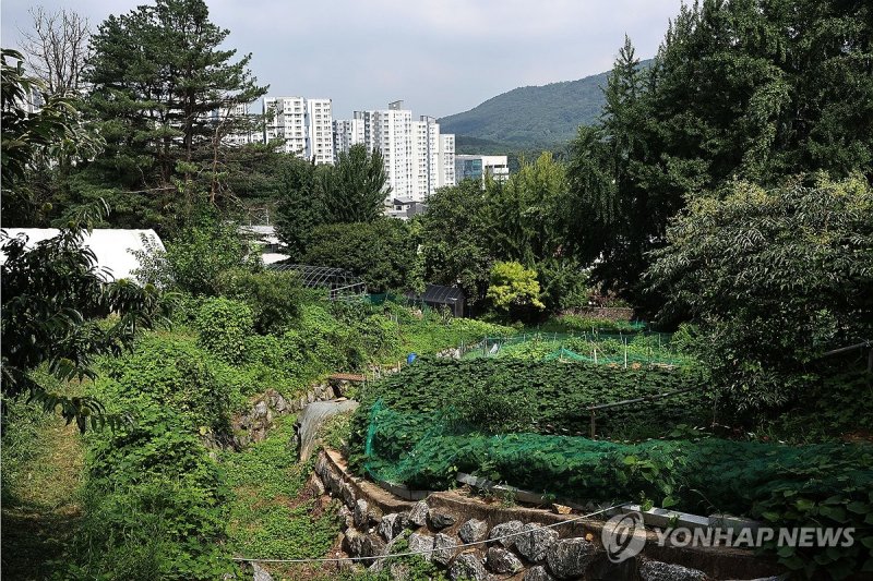 개발제한구역 내 녹지 모습. 연합뉴스