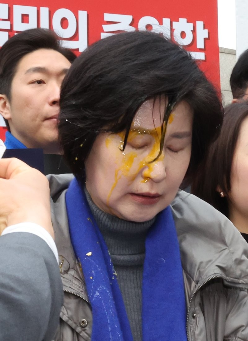 '野<b>백혜련</b>에 <b>계란 투척</b>' 용의자 못잡은 경찰.. 헌재 앞 시위대 강제 해...