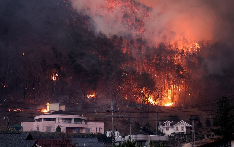 '<b>의성 산불</b>' <b>확산</b>에…경북북부교도소 2600여명 대피