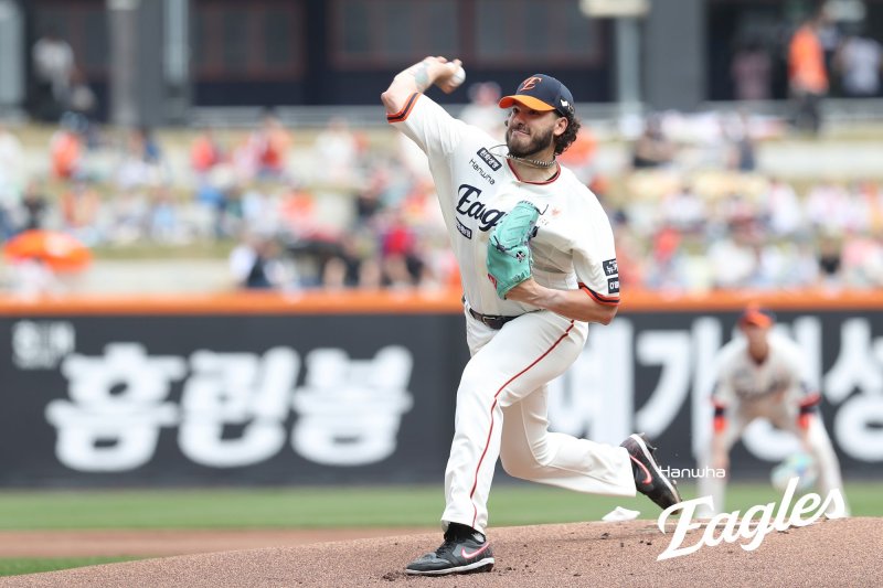 14이닝 25K 폰세, 5G 5홈런 노시환... 2명 미치니 한화는 7연승 광폭 행보