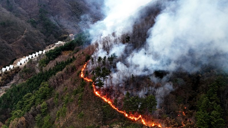 지난달 27일 오후 지리산국립공원과 맞닿은 경남 산청군 구곡산에 난 산불이 마을쪽으로 향하고 있다.2025.03.27./사진=뉴시스