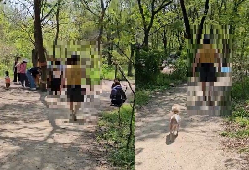 서울의 한 공원에서 반려견 목줄을 하지 않은 견주에게 목줄 착용을 요구했다가 되레 욕설을 들은 사연이 알려졌다.
