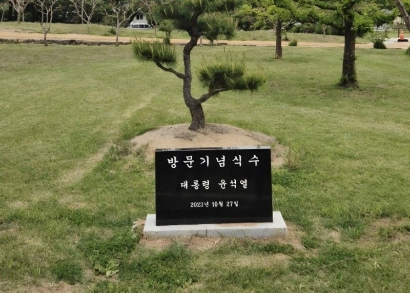 사라진 <b>병산서원</b>의 ‘윤석열 <b>기념식수 비석</b>'…안동시, 현황 파악 중