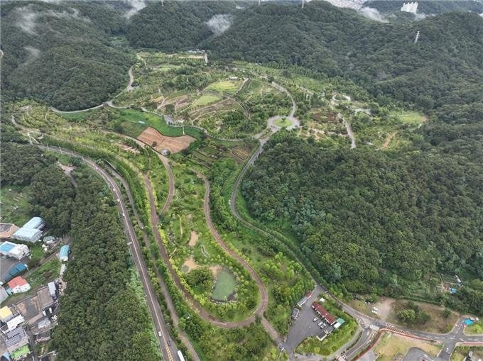 <b>부산시</b>, 2040년까지 300ha 수목 활용해 1500t <b>탄소</b>배출권 확보