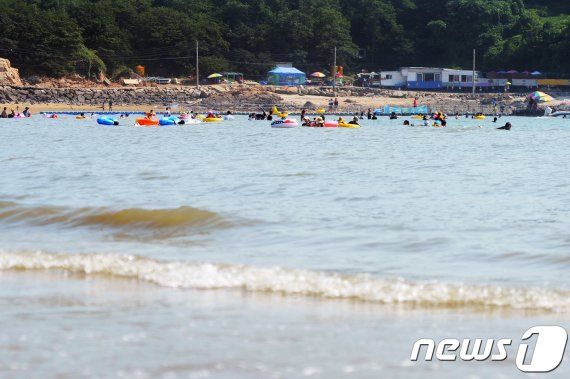 /사진=연합뉴스