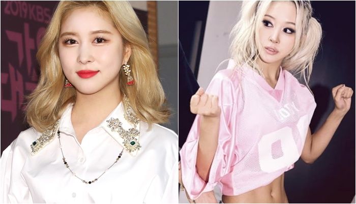 /사진=뉴스1, 다영 SNS