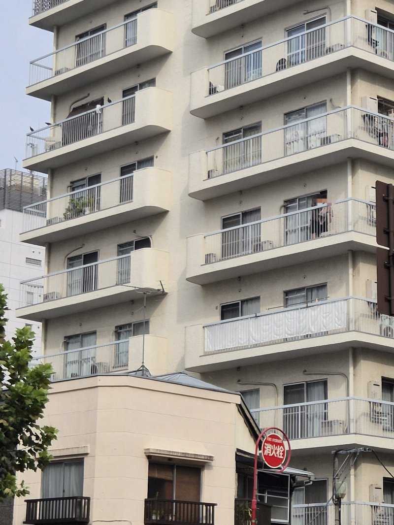 '영끌 vs 버블'… 집 장만 대신 월세살이 선호하는 日청년들