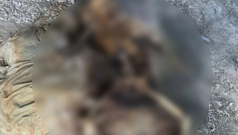 잃어버렸다가 되찾은 휴대전화에 저장된 시체 사진./사진=방콕포스트, 뉴시스