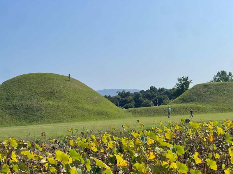 /사진=온라인 커뮤니티 보배드림 갈무리