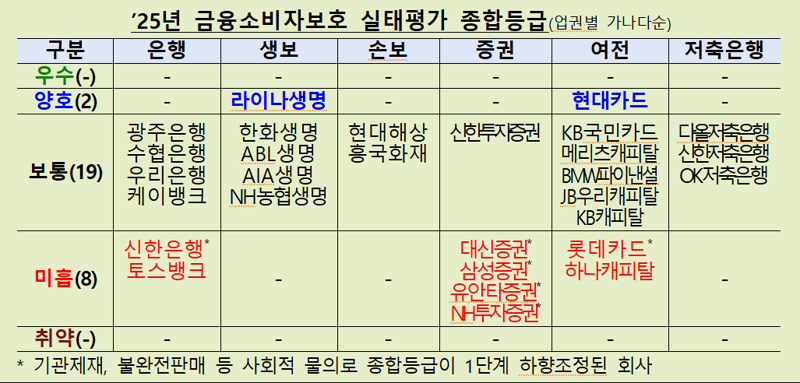 금융감독원 제공
