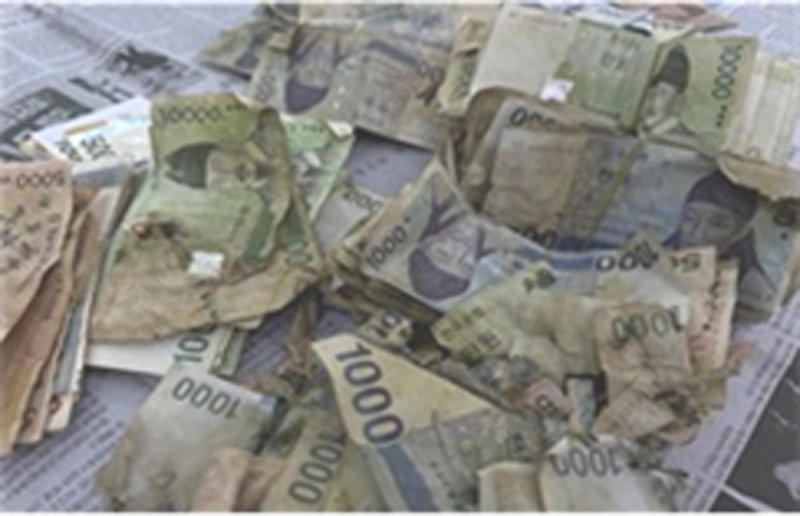 훼손된 지폐/한국은행 제공