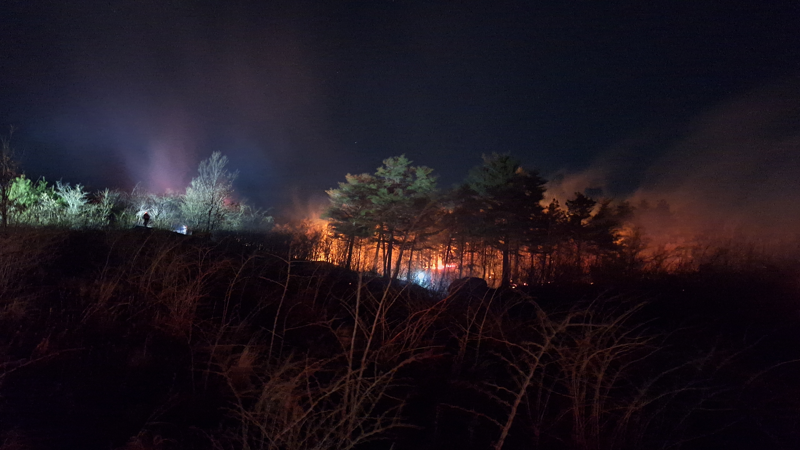 22일 오후 7시 22분쯤 강원 고성군 토성면 소재 A리조트 인근에서 화재가 발생해 소방 당국이 대응에 나서고 있다. 강원도소방본부 제공
