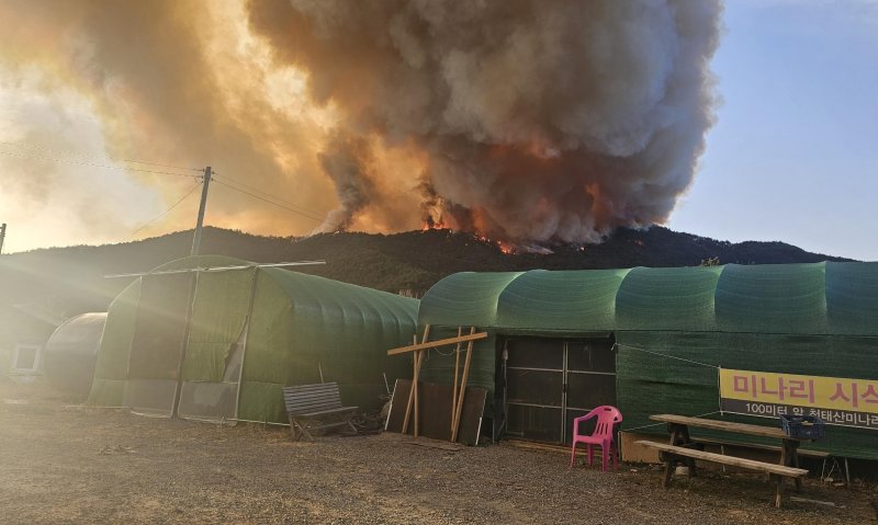 23일 오후 4시10분 경남 밀양시 삼랑진읍 야산에서 발생했다. 밀양시