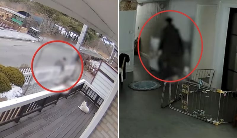 지난달 26일 경북 영주시 소개의 한 전원주택에 한 남성이 침입했다.이 남성은 집안 내부에 설치된 홈캠에 포착됐다./사진=유튜브 채널 '대한민국 경찰청' 캡처
