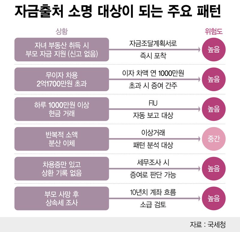 자금출처 소명 대상이 되는 주요 패턴 /그래픽=정기현 기자