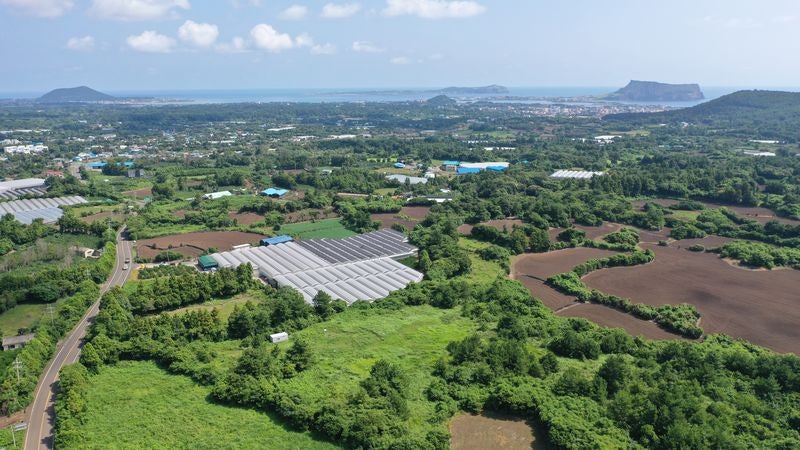 하늘에서 다 지켜보고 있다, 제주도 산림 훼손하면 뼈도 못 추려