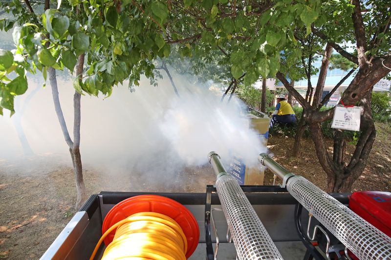 /사진=뉴스1