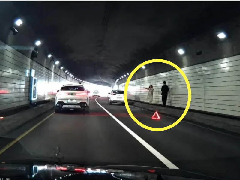 "애는 낳지 마라"…남산터널 차선 막고 웨딩촬영한 예비부부에 '황당' [어떻게 생각하세요]