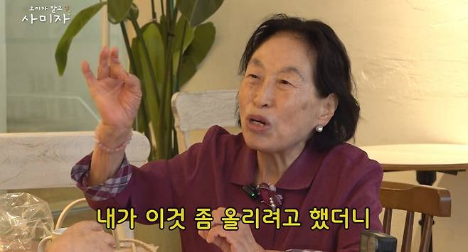 "이것 좀 올리려 했더니"...<b>전원주 유튜브 중단</b>, '건강' 아닌 '돈' 때문...