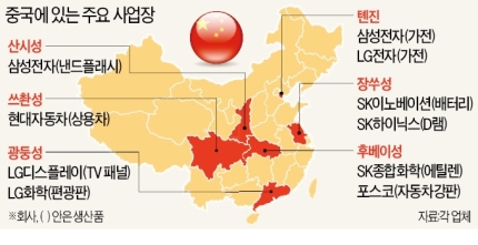 비자드림 이미지