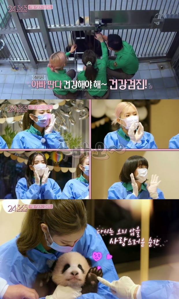원본 이미지