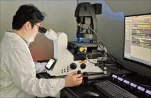 "300만명 앓는 폐질환에 효능"...와이디생명과학, 기술수출 도전 - 뉴스 썸네일 이미지