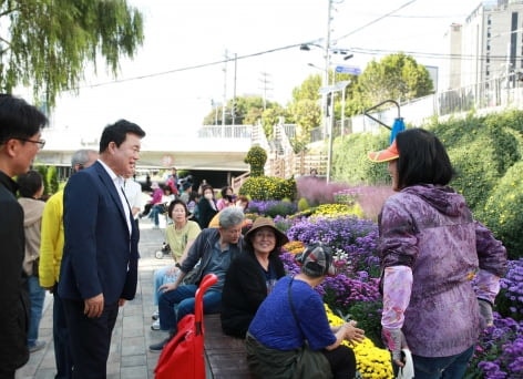 관악구, <b>별빛내린천</b>에 '<b>국화정원</b>' <b>조성</b> [메트로]