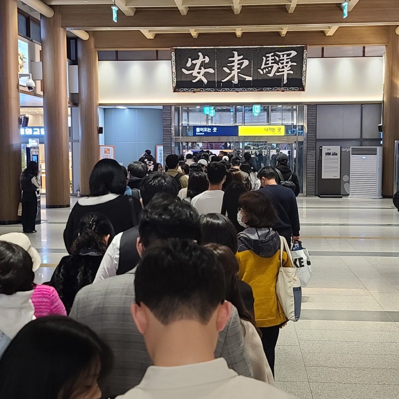 <b>의성 산불</b> 확산에 <b>열차</b>도 멈췄다…"진화 상황 따라 <b>운행</b>재개 결정"